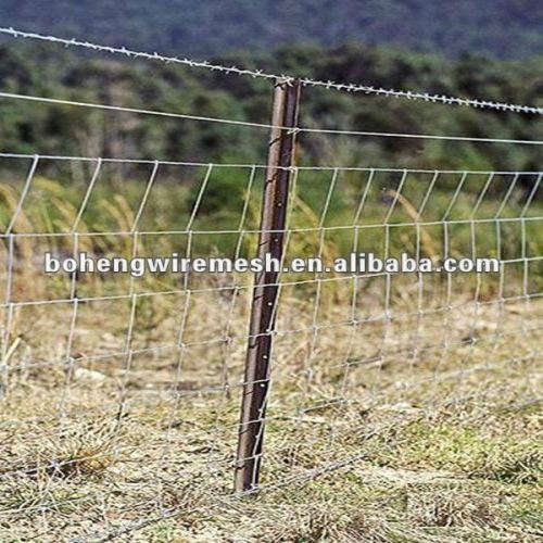 Wire Mesh for Grassland