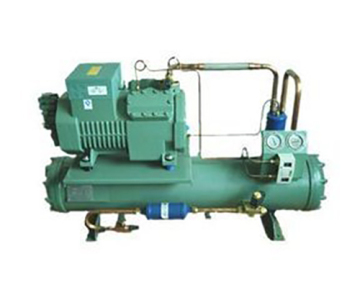 Unità di refrigerazione raffreddata ad acqua Bitzer da 20 hp