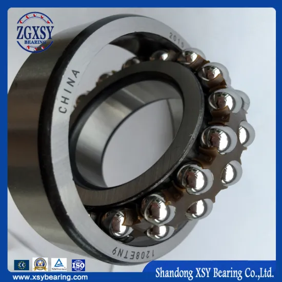 Self-Aligning Ball Bearing 1218 1218k Made in China