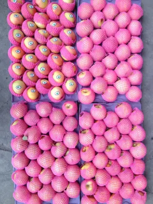 2018 new season summer apple green apple on sale red gala apple price