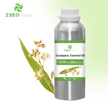 Wingi wa kikaboni Eucalyptus Mafuta Muhimu 100% safi kwa aromatherapy diffusers fresheners hewa | Daraja la matibabu lisilo na 1kg