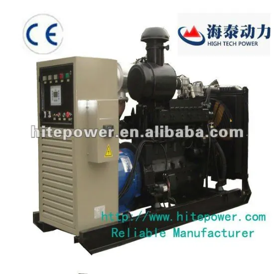 High quality farm used biogas generator