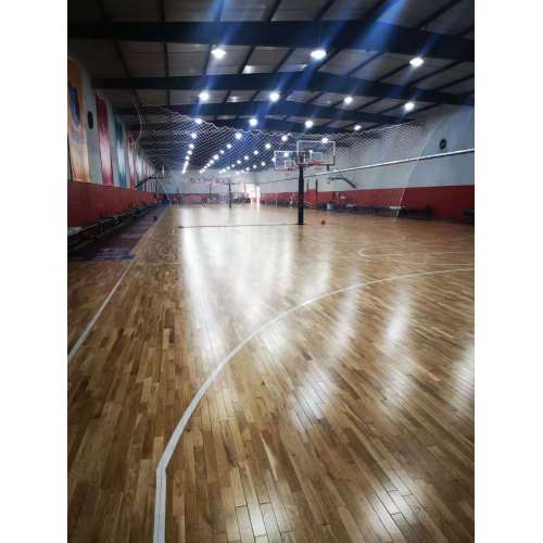 Fixed inground basketball hoop Stand for school