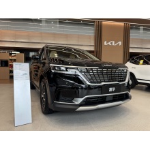 Kia Carnival Mvp for sale