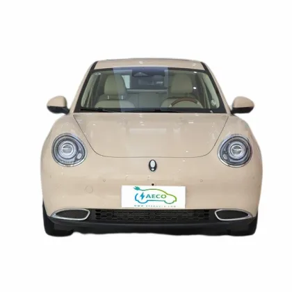 Long Endurance 400km Electric Car with Standard Battery