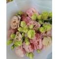 তাজা কাটা ফুল হালকা গোলাপী Lisianthus বিবাহের সজ্জা