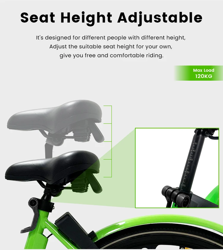 Gofunow Electric Bikes For Rental 6