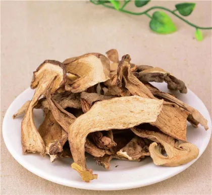 Dried Delicious Porcini Mushroom