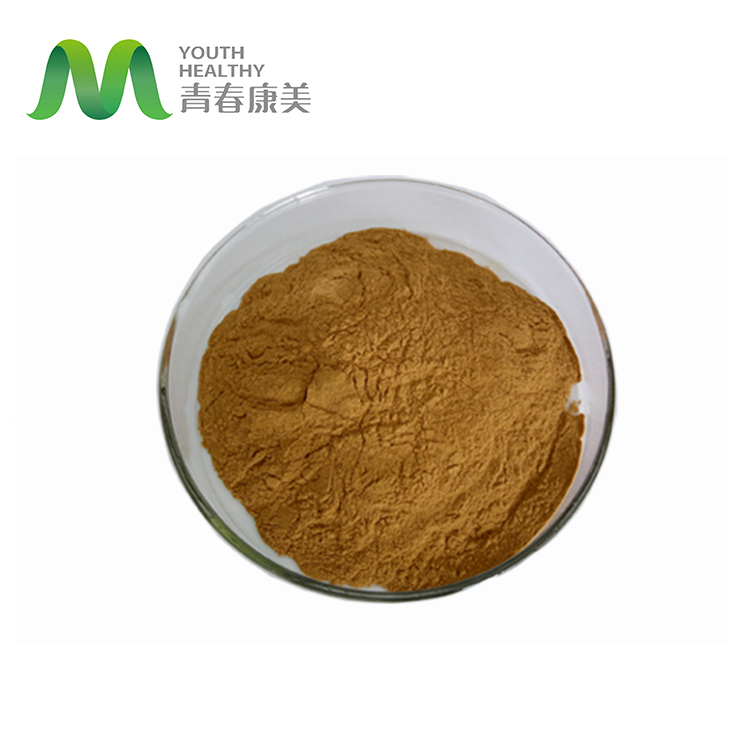 Shiitake Mushroom Extract Powder 10 -50% olysaccharid