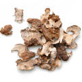 High Quality Poria Cocos Extract