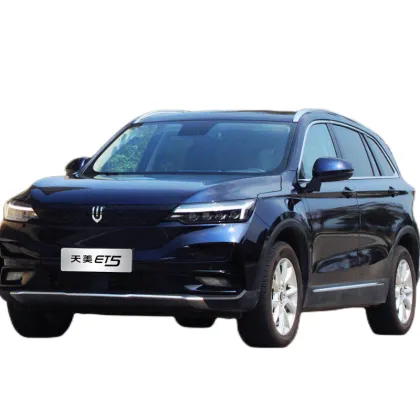 CE Certified SKYWELL ET5 SUV: 0.7h Fast Charging Electric Vehicle for Sale in Europe