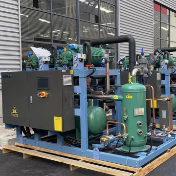 High Temperature Bizer Compressor Units: Multi-Parallel Screw Compressors - HSK6451-60 Condensing Technology