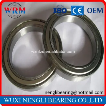 Electric scooter motor ball bearings