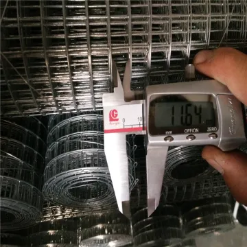 Galvanized After Welded Wire Mesh 19 Gauge