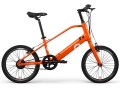 Ciclo elettrico personalizzato a basso prezzo