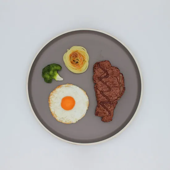 10 Inch Porcelain Dinner Set Home Hotel