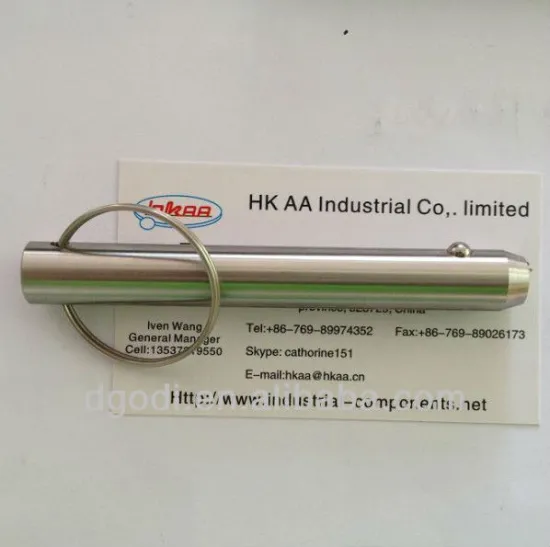 custom stainless steel lock bolt pin