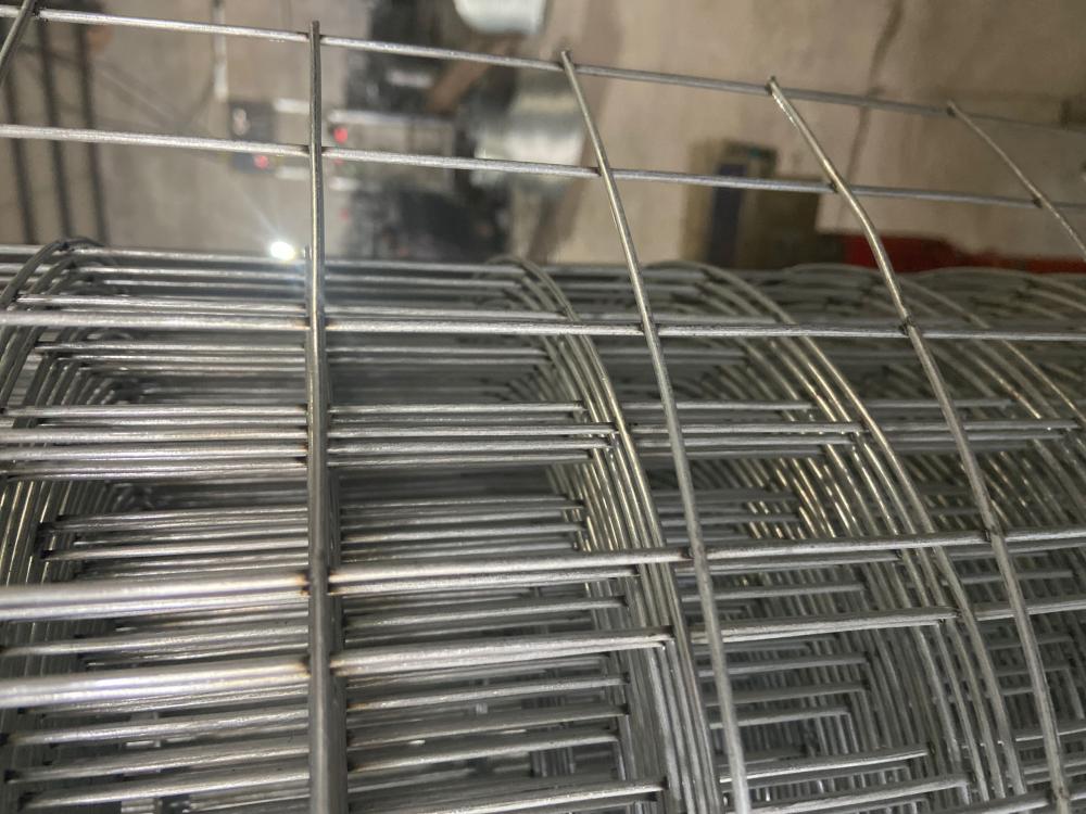 Stainless steel welded wire mesh for roll and panel