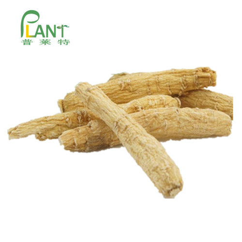 Amerikanischer Ginseng-Extrakt Sibirischer Ginseng-Extrakt Pulver