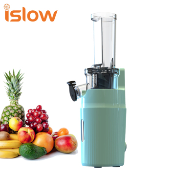 Factory Direct Sales SJ-019 Slow Cold Pressed Professional Juicer