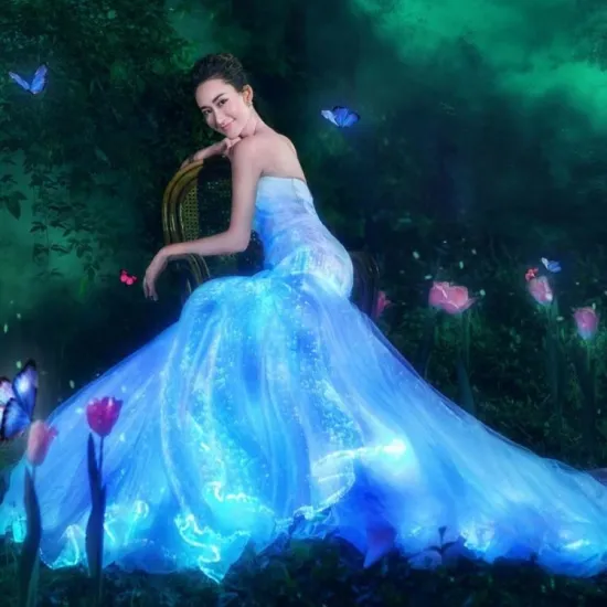 Luminous Bridesmaid Dresses: Led Fiber Optic Lights Plus Size Wedding Gowns