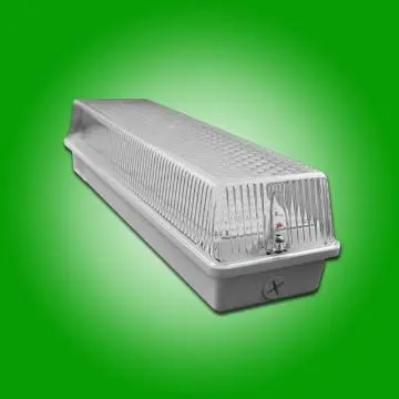 Battery backup emergency led light, 12W , 3 hours duration