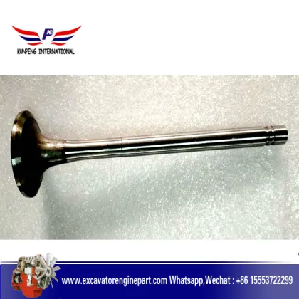 Cummins Generator Engine Parts Exhaust Valve 145701