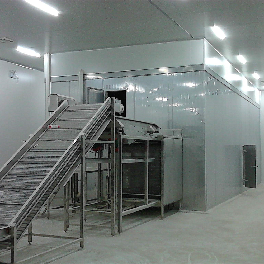 Fluidized Tunnel Freezer Installed