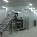 IQF Beans Fluidized Tunnel Freezer