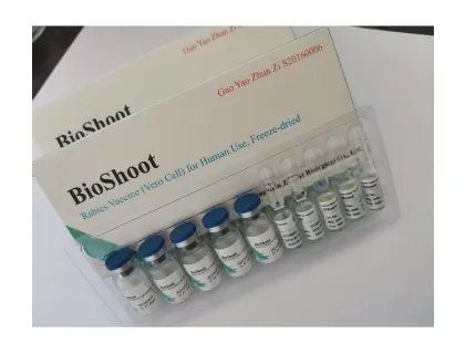 Rabies Exposure In Humans