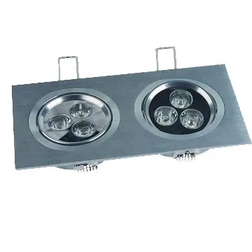 2 Lights LED Ceiling Lamp