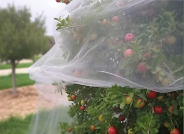 UV Treated Agriculture Anti Insect Netting 50mesh