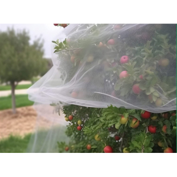 Agricultura tratada com UV Reting de 50 mesh