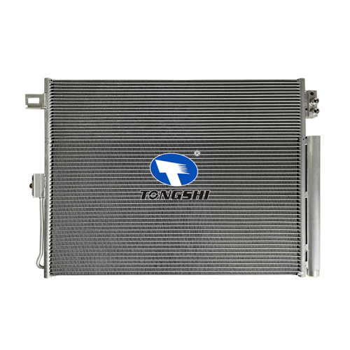 GM Dodge Durango Base Aluminum AC Condenser 55038003AE