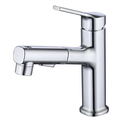 Bathroom Pull Out Faucet