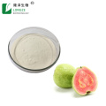 Hot Sale guava extract psidium guajava extract