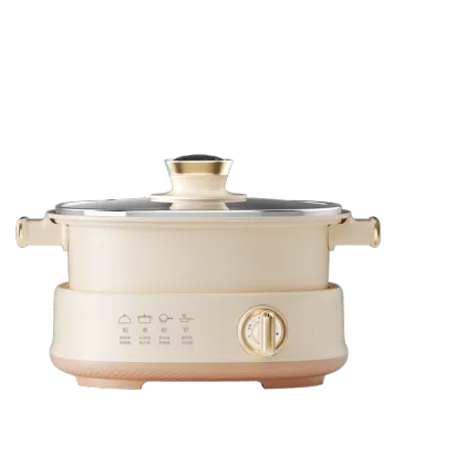Steeleess Kitchen Appliances: New Multifunctional Electric Cooking Pot