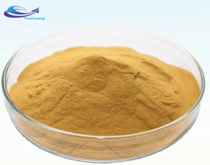 Organic Soybean Extract Soy Isoflavones Powder