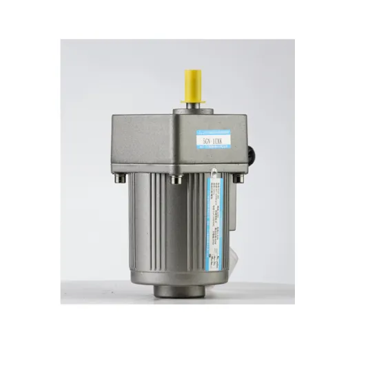 110V/220V 1 Phase AC Gear Motor with Variable Speed Control (Low RPM)