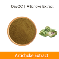 Cynara Scolymus Extract ARTICHOKE EXTRACT CYNARIN 2,5%
