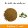 Экстракт экстракта Cynara Scolymus экстракт Artichoke Cynarin 2,5%