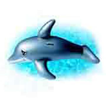 Inflatable Toys Dolphin Rider