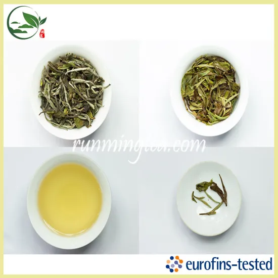 EU Standard Premium White Peony