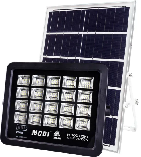 solar motion sensor flood light