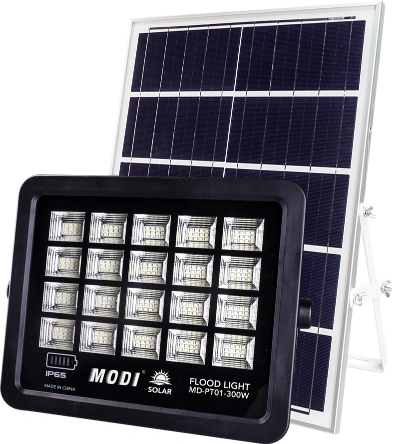 solar motion sensor flood light China Manufacturer