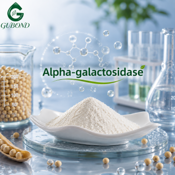 Mikrobiologiczna alfa-galaktozydaza do zastosowań w paszach i żywności