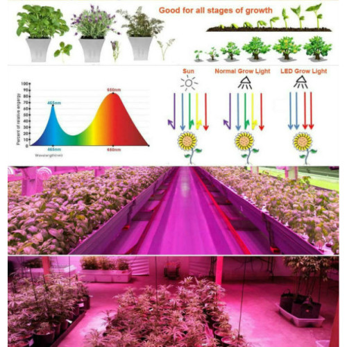 Led Grow Lights for Hydroponics Indoor Plants Growth