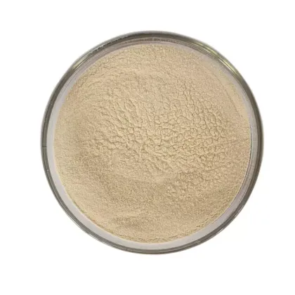 Apple cider vinegar powder bulk