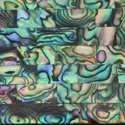 blue Abalone Shell mosaic, natural abalone shell mosaic for banner