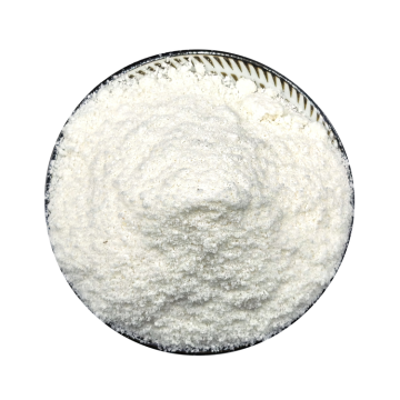 Instant Freeze-dried Coconut Powder - Healthy Food Ingredient for Drinks and Recipes